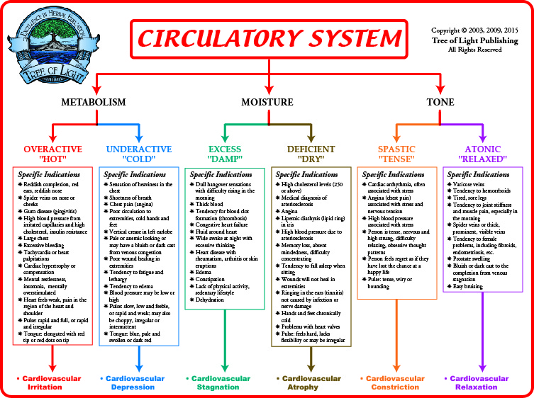 Biological Terrain Chart for the Circulatory System
