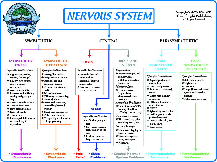 Sympathetic Vs Parasympathetic Chart