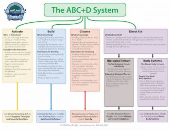 Herbal Energetics Chart